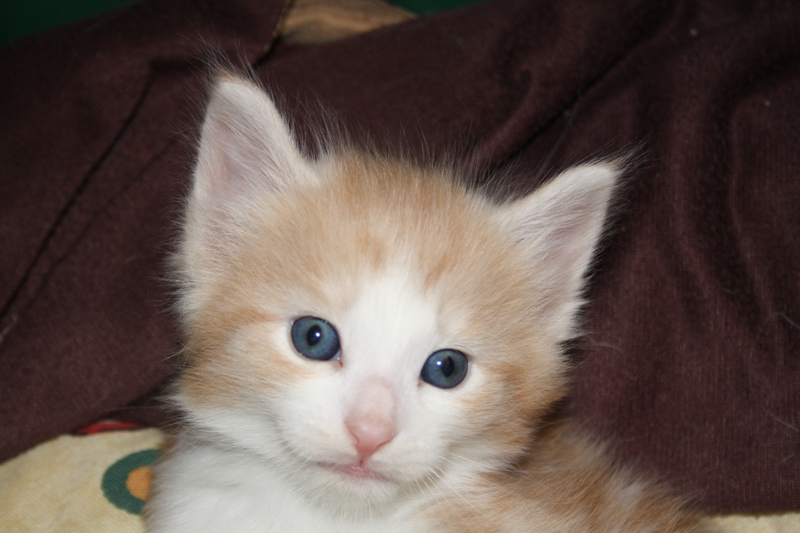 Tequila_140512_IMG_2781_kl