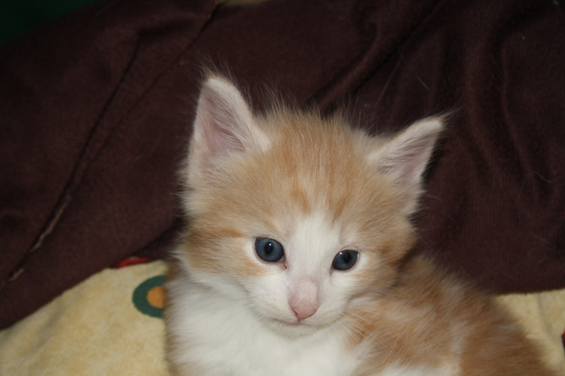 Tequila_140512_IMG_2782_kl