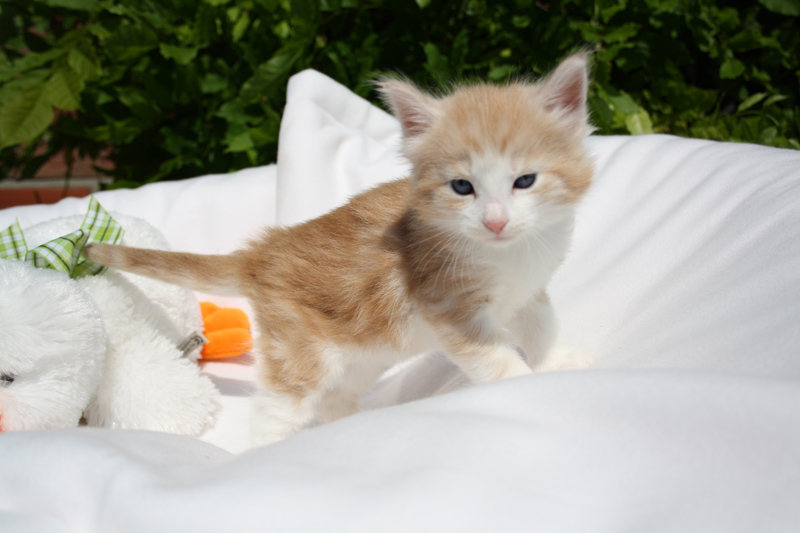 Tequila_140512_IMG_2841_kl