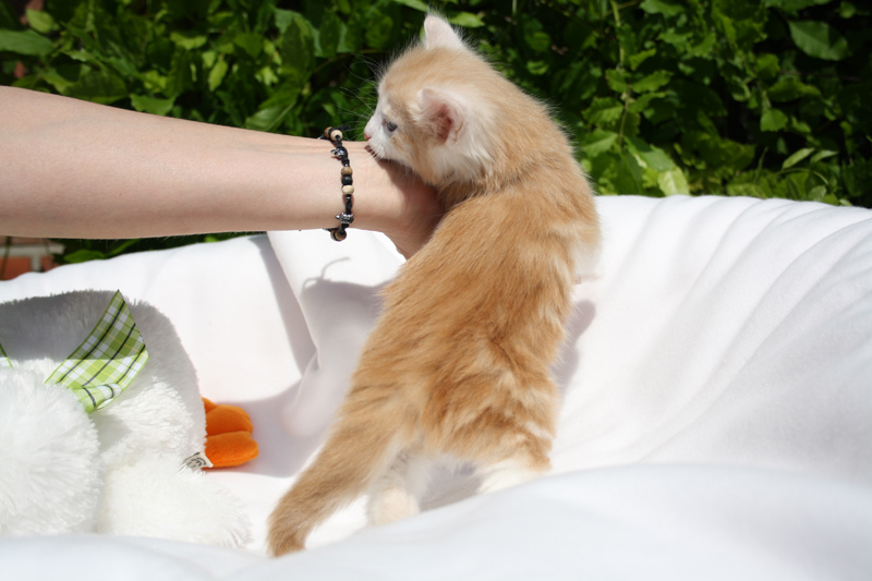 Tequila_140512_IMG_2845_kl