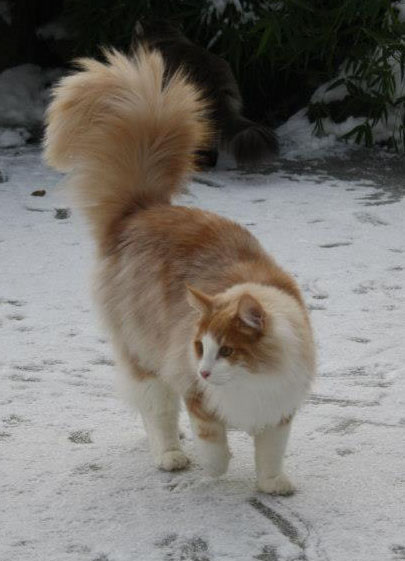 Tequila_180113_neu03