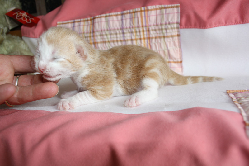 Tequila_220412_IMG_2656_kl