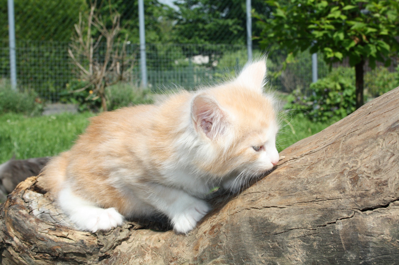 Tequila_220512_IMG_2931_kl