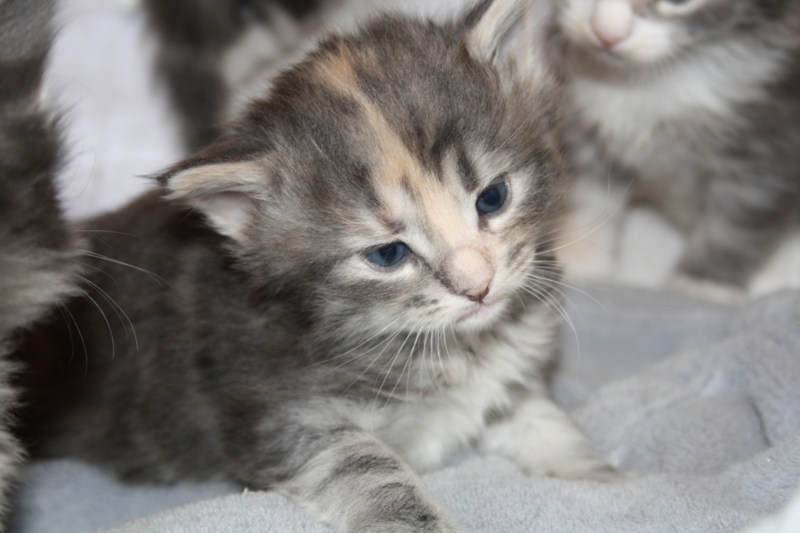 Tinkerbell_290511_IMG_1741