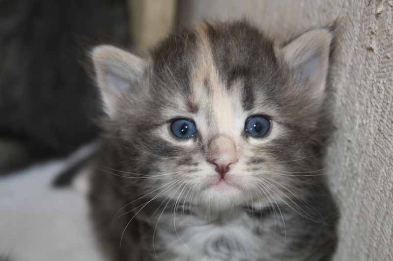 Tinkerbell_290511_IMG_1746