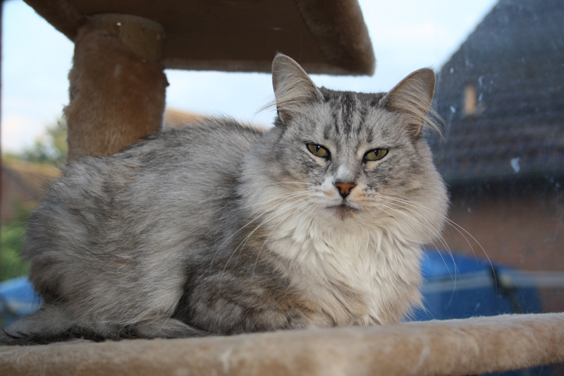 Zoe_0610_IMG_0066_kl