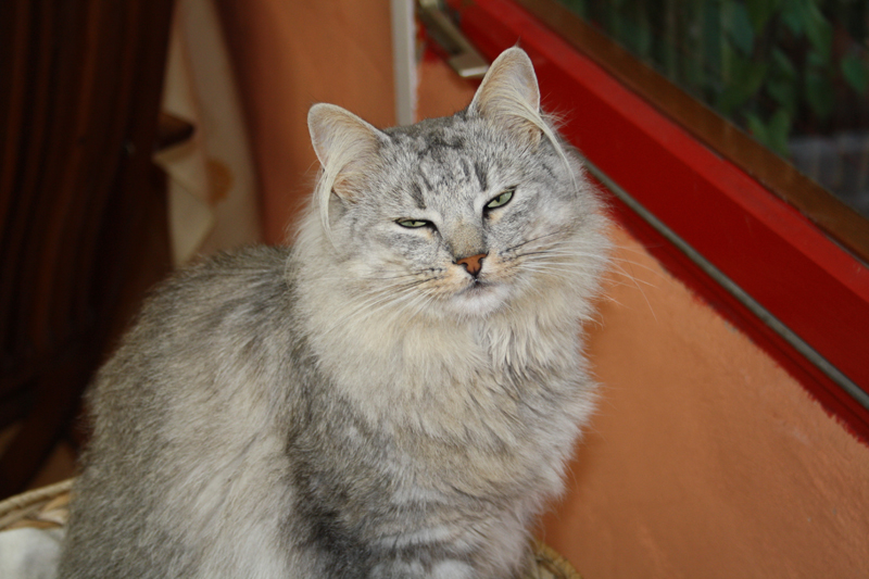 Zoe_110710_IMG_0354_kl02