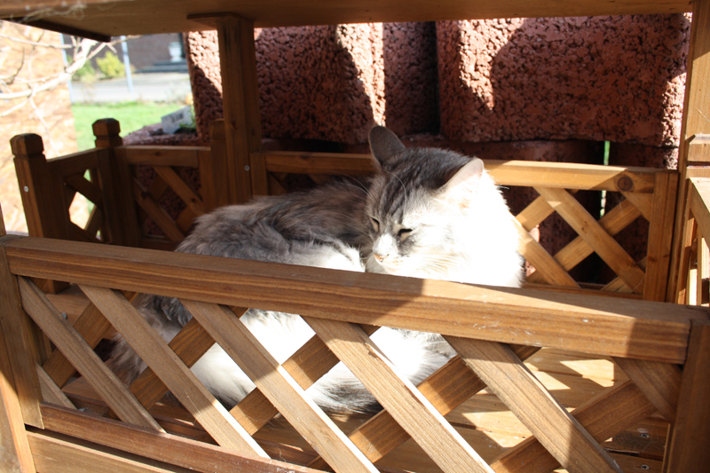 Zoe_280311_IMG_1367_kl