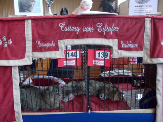 ausstellung1_26_04_09