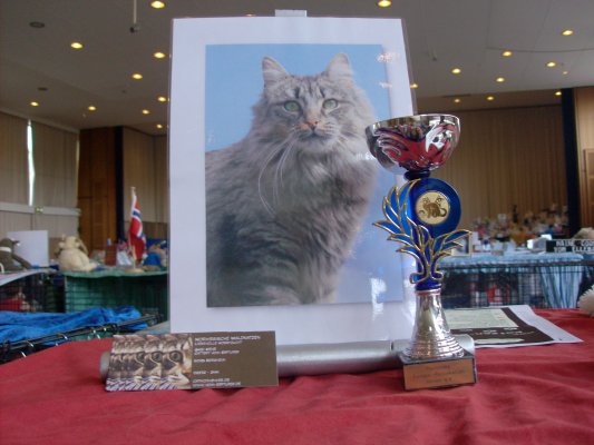 ausstellung3_26_04_09