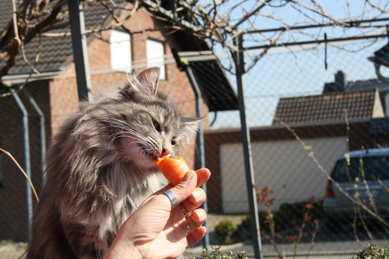 duncan_280311_IMG_1429_kl