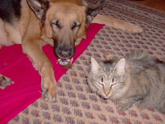 lea_bolle_ashunta202