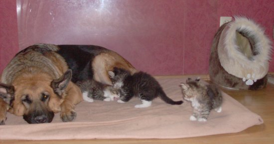 lea_finn_dooley_faith_9w