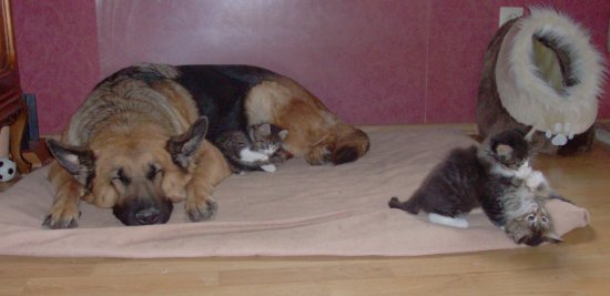 lea_finn_dooley_faith_9w1